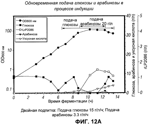 Процесс периодической ферментации с подпиткой при высокой плотности клеток для получения рекомбинантного белка (патент 2451070)