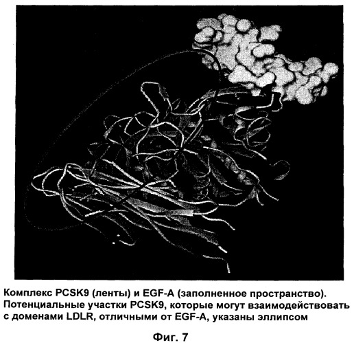 Вакцина против pcsk9 (патент 2538162)