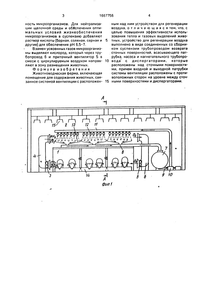 Животноводческая ферма (патент 1667756)