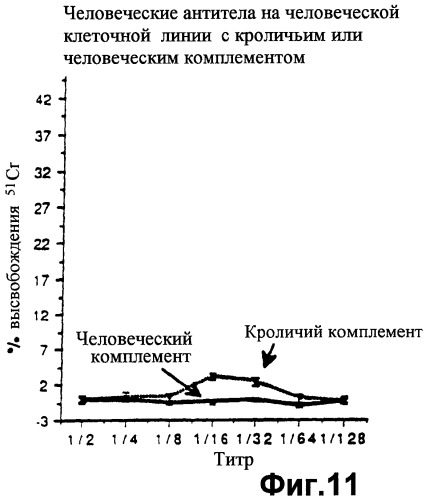 Способ получения трансгенного животного (патент 2252533)