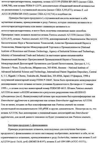 Способ получения l-треонина с использованием бактерии, принадлежащей к роду escherichia, в которой инактивирован оперон rspab (патент 2337961)