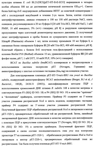 Способ производства 4-гидрокси-l-изолейцина или его соли (патент 2355767)