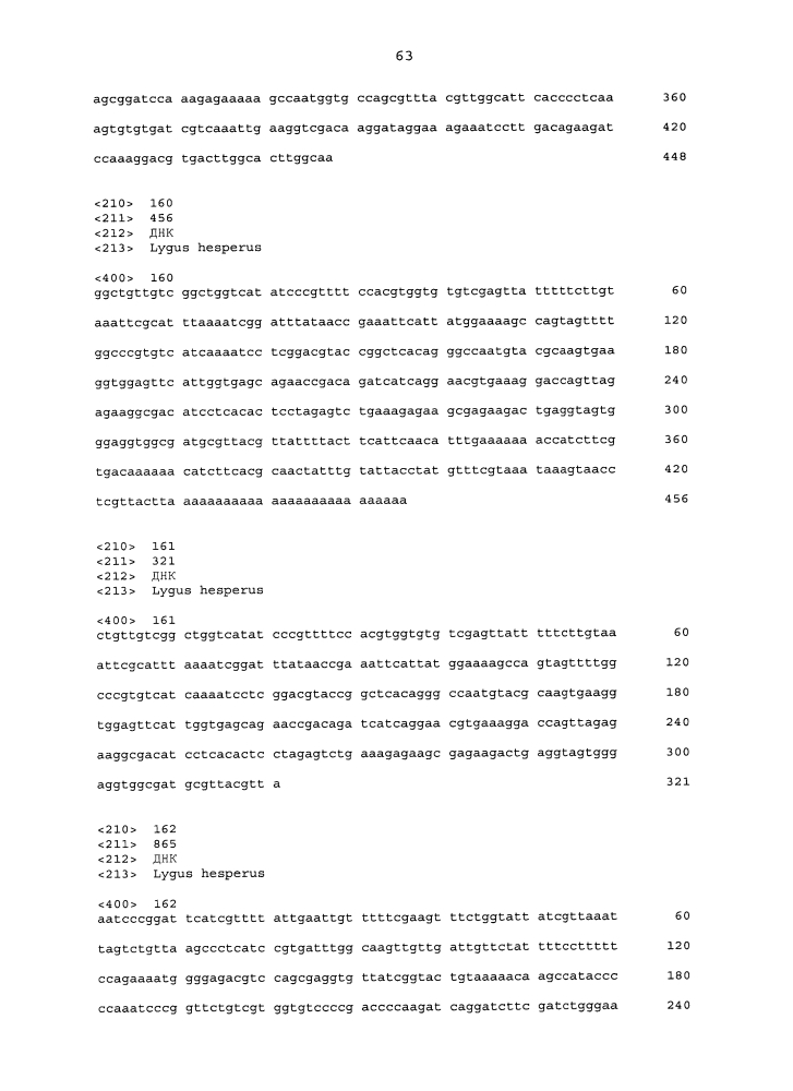 Подавление экспрессии генов у насекомых-вредителей (патент 2619219)