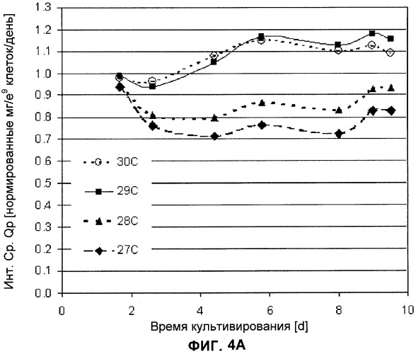 Применение низкой температуры и/или низкого pн в культуре клеток (патент 2478702)