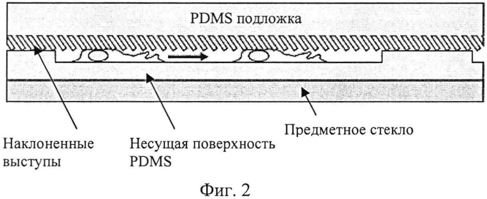 Устройство для направления миграции клеток и способ направления миграции клеток посредством такого устройства (патент 2603083)