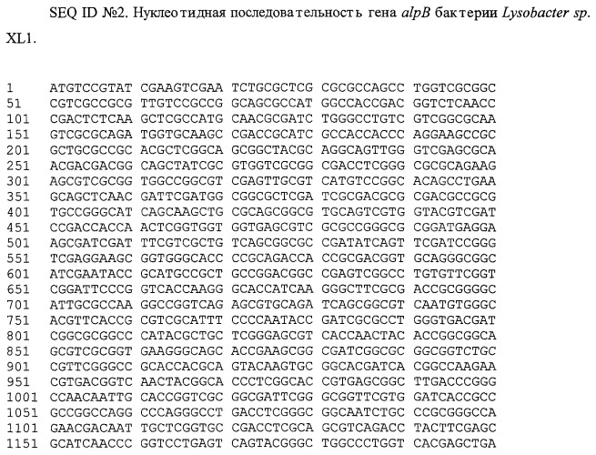 Литическая протеаза alpb бактерии lysobacter sp. xli, фрагмент днк, кодирующий литическую протеазу alpb бактерии lysobacter sp. xli, и способ получения литической протеазы alpb бактерии lysobacter sp. xli (патент 2408725)