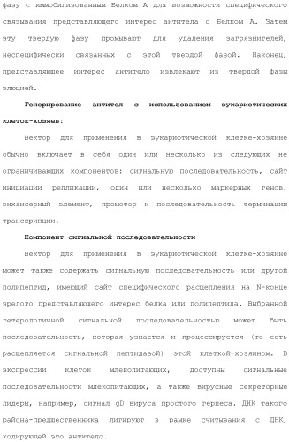 Антитела и иммуноконъюгаты и их применение (патент 2483080)