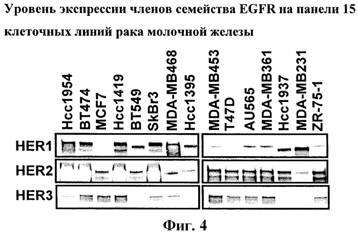 Применение имидазохинолинов для лечения заболеваний, зависимых от egfr, или заболеваний с приобретенной резистентностью к агентам, которые связываются с членами семейства egfr (патент 2481838)