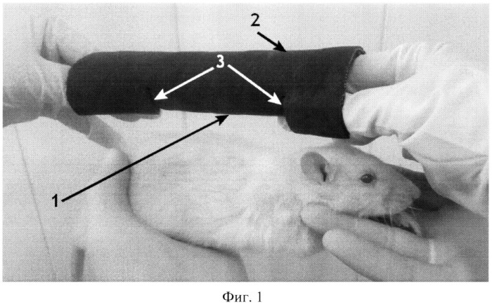 Устройство для фиксации в неподвижном состоянии мелких лабораторных животных (патент 2521622)