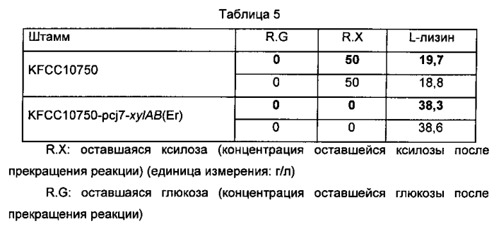 Микроорганизмы corynebacterium, способные утилизировать ксилозу, и способ получения l-лизина с применением таких микроорганизмов (патент 2584593)