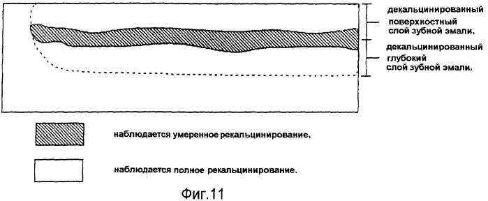 Ускоритель рекальцинирования зубной эмали, композиция для ухода за полостью рта и содержащие его пищевой продукт или напиток (патент 2396969)