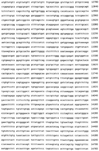 Применение s1p (патент 2362565)