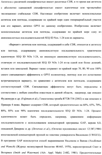 Антитела к гликопротеину vi и способы продуцирования и использования этих антител (патент 2407752)