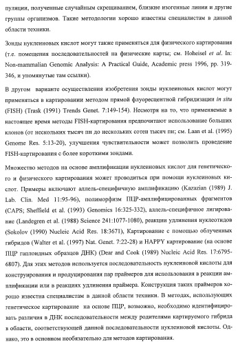 Растения, имеющие улучшенные характеристики роста, и способы их получения (патент 2463352)
