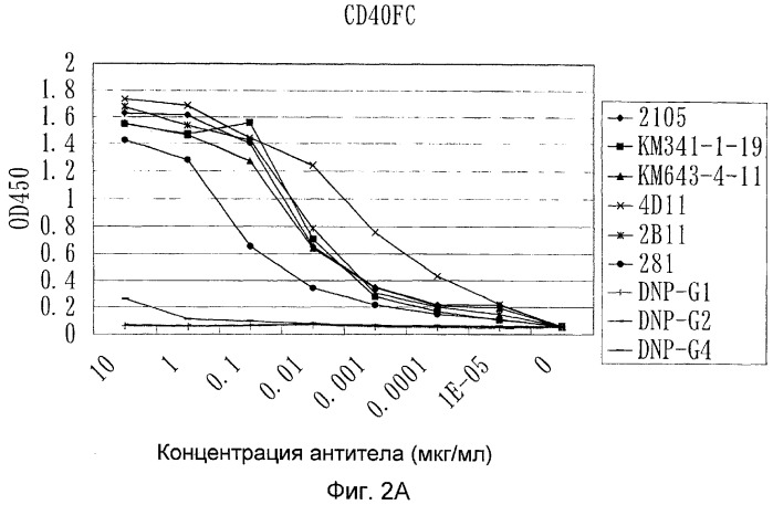Мутанты анти-cd40 антитела (патент 2377254)