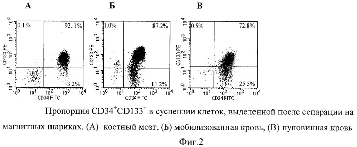 Способ увеличения количества гемопоэтических недифференцированных стволовых клеток пациента ex vivo (патент 2360965)