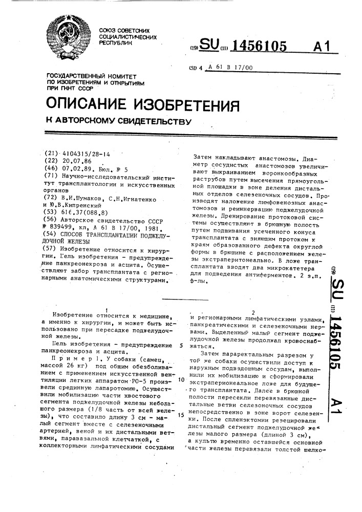 Способ трансплантации поджелудочной железы (патент 1456105)