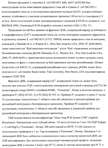 Способ получения l-аминокислот с использованием бактерии, принадлежащей к роду escherichia (патент 2312893)