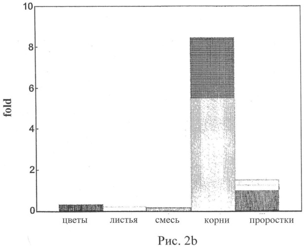Изолированные полипептиды, кодирующие их полинуклеотиды, экспрессирующие их трансгенные растения и способы их использования (патент 2425151)