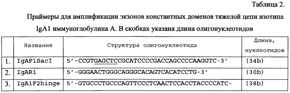 Рекомбинантная плазмидная днк pbipr-abiga1fi6-ht для получения рекомбинантного иммуноглобулина а изотипа iga1 (патент 2656142)