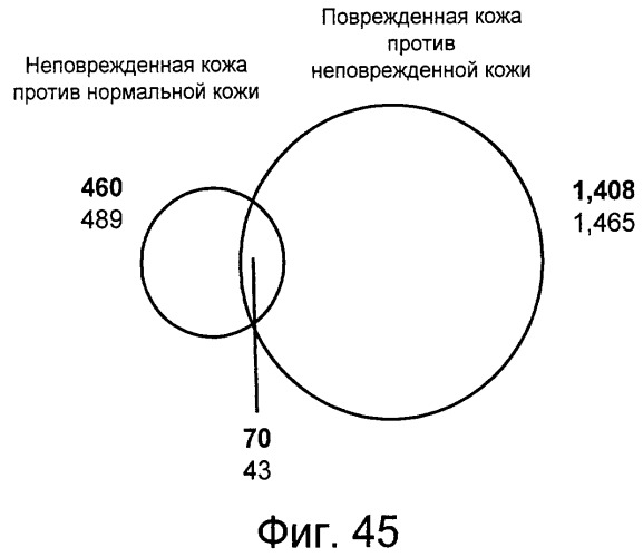 Фармакодинамические маркеры, индуцированные интерфероном альфа (патент 2527068)