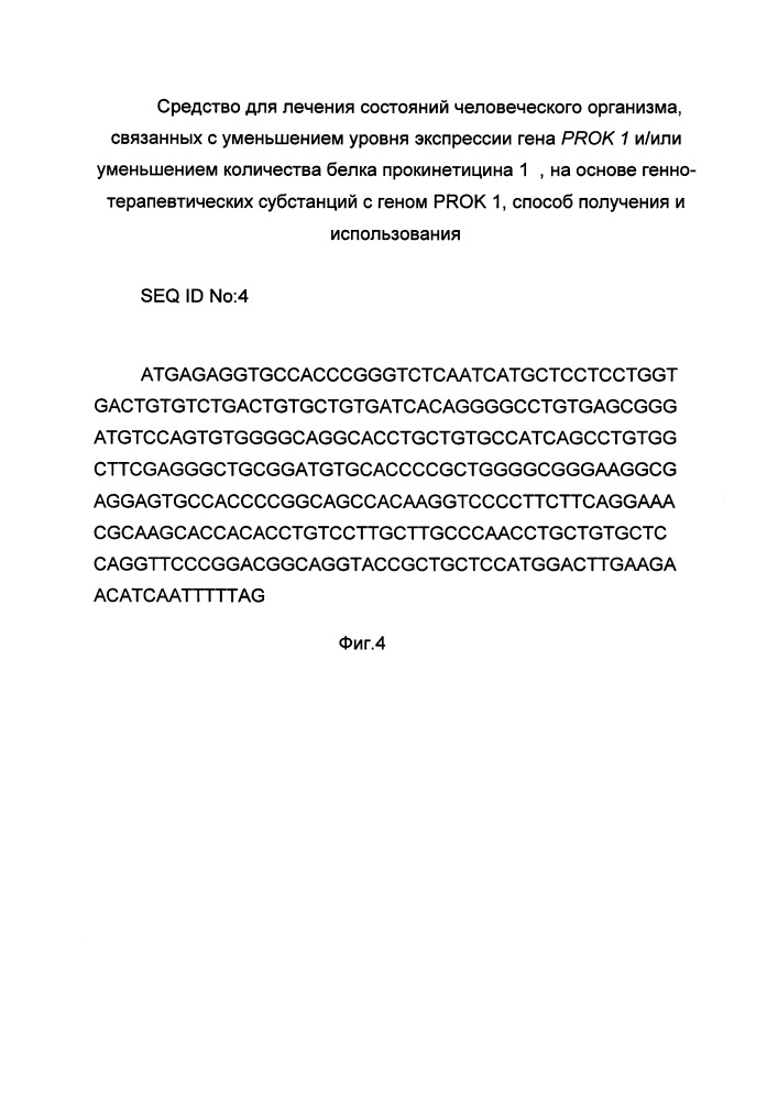 Средство для лечения состояний человеческого организма, связанных с уменьшением уровня экспрессии гена prok 1 и/или уменьшением количества белка прокинетицина 1 на основе генно-терапевтических субстанций с геном prok 1, способ получения и использования (патент 2662944)