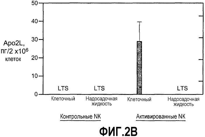 Способы применения агонистов аро-2l-рецепторов и активаторов nk-клеток (патент 2395294)