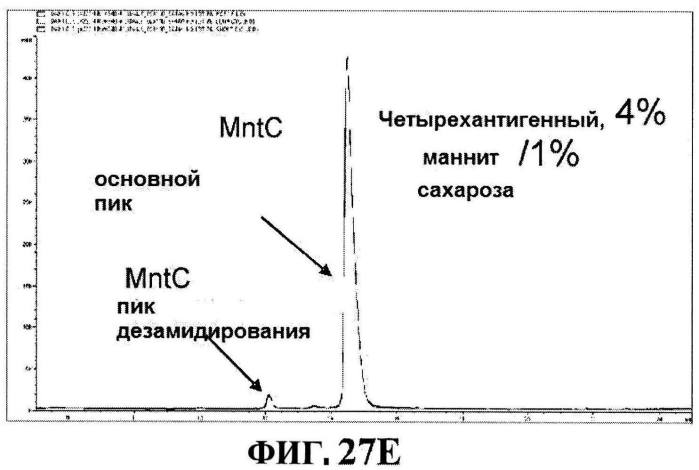 Стабильные иммуногенные композиции антигенов staphylococcus aureus (патент 2570730)