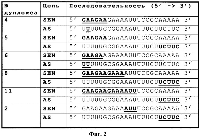 Новые структуры малых интерферирующих рнк (sirna) (патент 2487716)