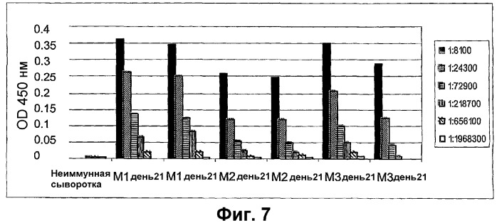 Молекулярные массивы антигенов (патент 2324704)