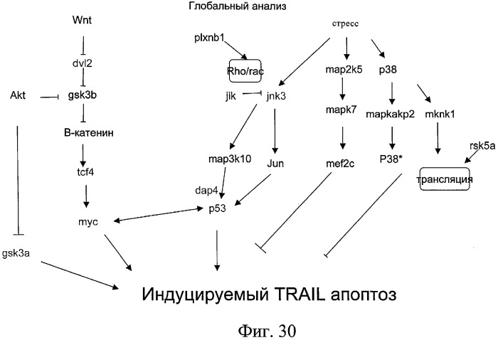 Способы и композиции для индукции апоптоза раковых клеток (патент 2379056)