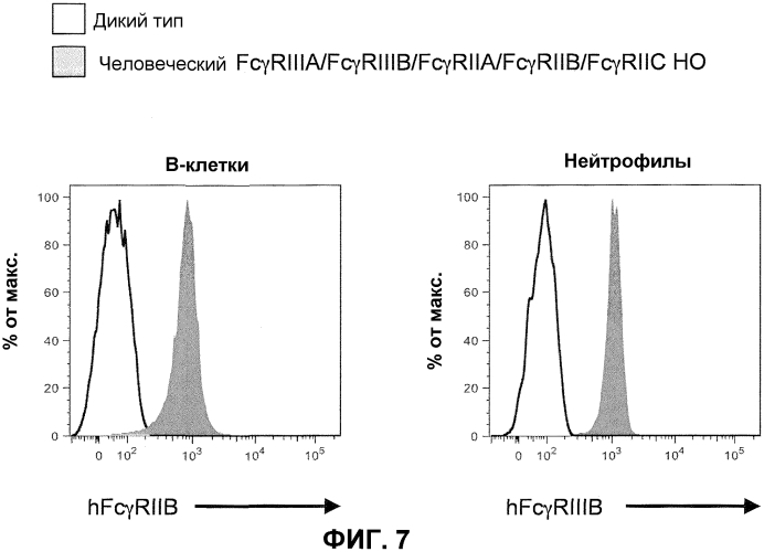 Гуманизированные fcγr мыши (патент 2549695)