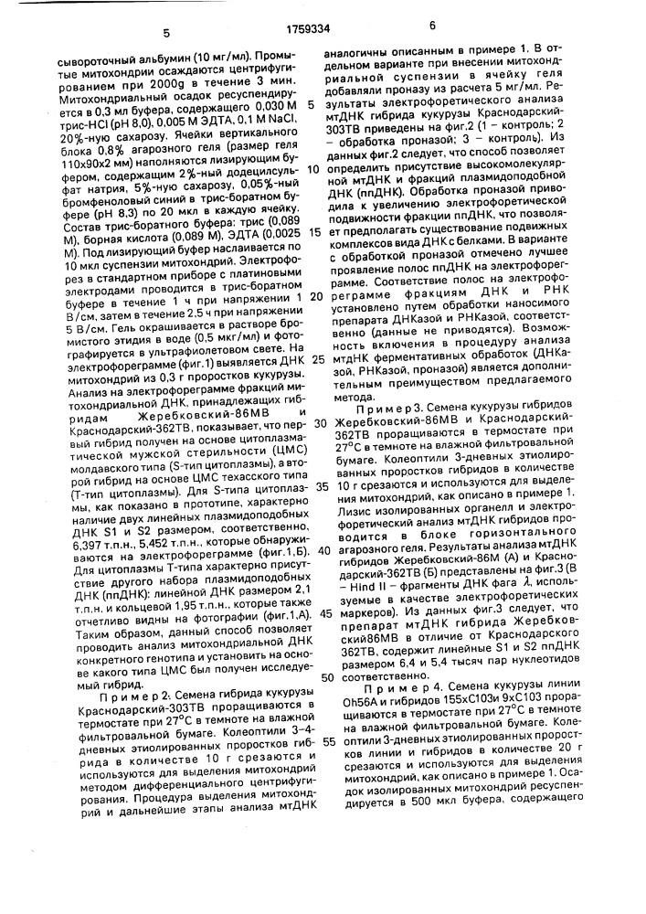 Способ анализа митохондриальной днк растений (патент 1759334)