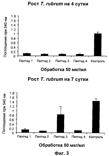 Противомикробные пептиды, содержащие аргинин- и лизинсодержащий мотив (патент 2396273)