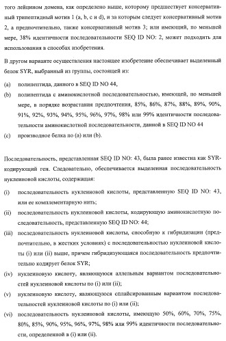 Растения, имеющие улучшенные характеристики роста, и способы их получения (патент 2463352)