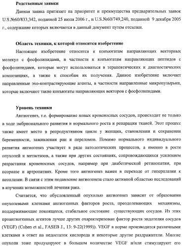 Конъюгаты фосфолипидов и направляющих векторных молекул (патент 2433137)