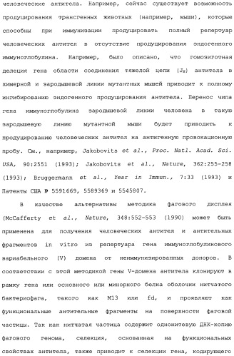 Способ лечения волчанки (патент 2396980)