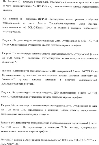 Экспонирование т-клеточных рецепторов (патент 2346004)
