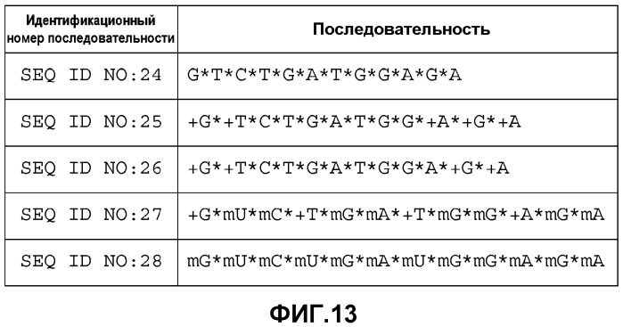 Лечение сиртуин 1 (sirt1)-связанных заболеваний путем ингибирования натурального антисмыслового транскрипта (патент 2551234)