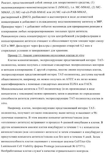 Композиции и способы диагностики и лечения опухоли (патент 2423382)