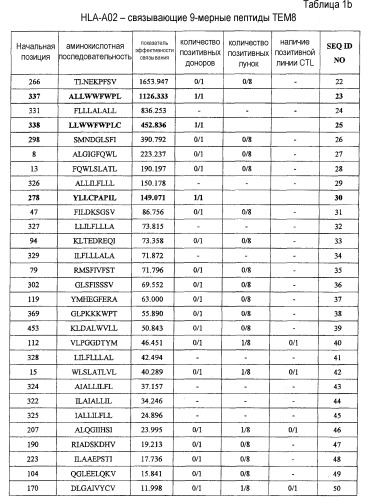 Пептиды тем8 и содержащие их вакцины (патент 2498993)