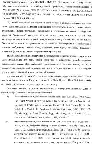 Изолированные полипептиды, кодирующие их полинуклеотиды, экспрессирующие их трансгенные растения и способы их использования (патент 2425151)