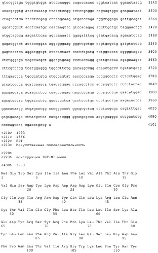 Pscaxcd3, cd19xcd3, c-metxcd3, эндосиалинxcd3, epcamxcd3, igf-1rxcd3 или fap-альфаxcd3 биспецифическое одноцепочечное антитело с межвидовой специфичностью (патент 2547600)