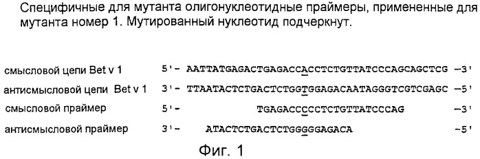 Новые мутантные аллергены (патент 2285042)