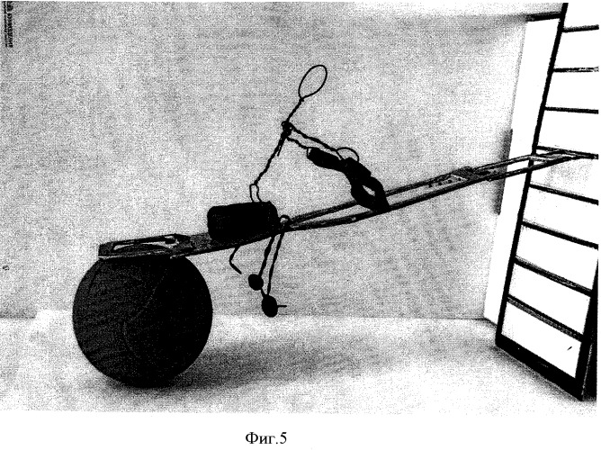 Тренажер для обучения и отработки акробатических приемов самостраховки мотоциклистов (патент 2493607)