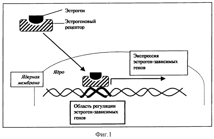 Антиэстрогенное и антипролиферативное средство для лечения и профилактики заболеваний женской репродуктивной системы (патент 2315594)