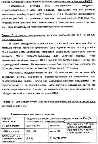 Новые антипролиферативные антитела (патент 2451689)