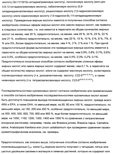 Способ получения полиненасыщенных жирных кислот в трансгенных растениях (патент 2449007)