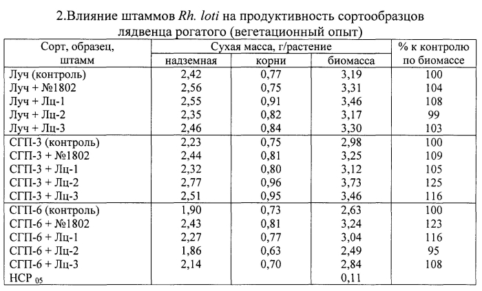 Способ отбора эффективных штаммов клубеньковых бактерий rhizobium loti l., способных к эффективному симбиозу с лядвенцем рогатым (патент 2592677)