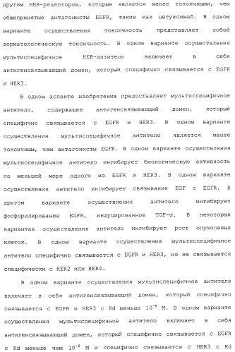 Антитела к her (патент 2504553)